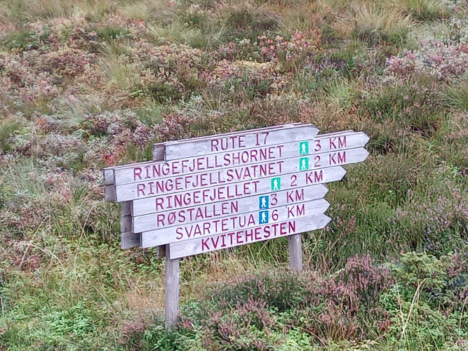 Bilde fra EIDSAA ANDERS-SVEIN i Eidså